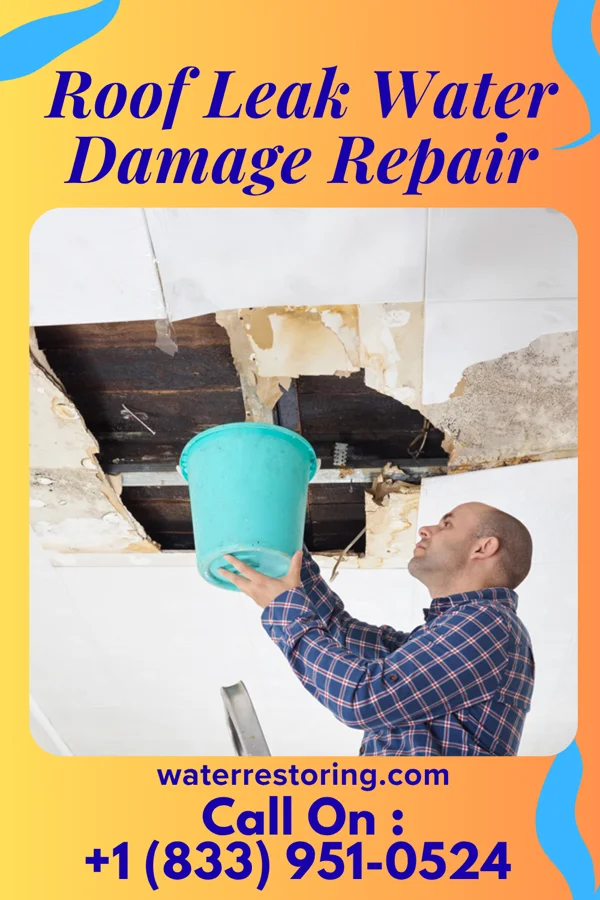 Roof Leak Water Damage Repair in Angola on the Lake, NY