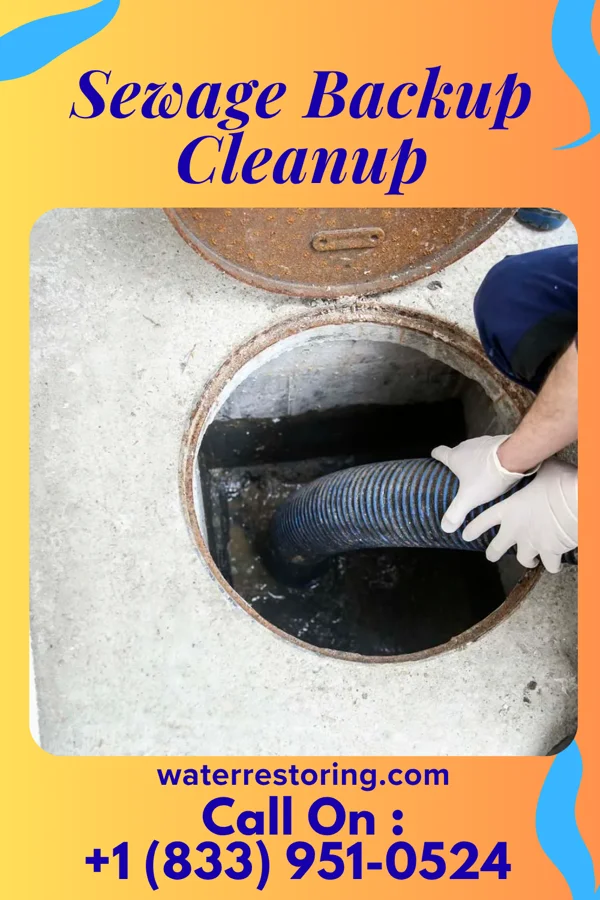 Sewage Backup Cleanup in Angola on the Lake, NY