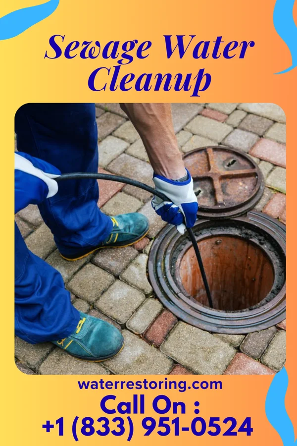 Sewage Water Cleanup in Angola on the Lake, NY