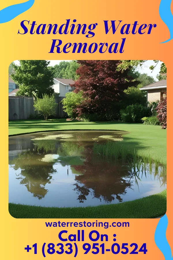 Standing Water Removal in Angola on the Lake, NY